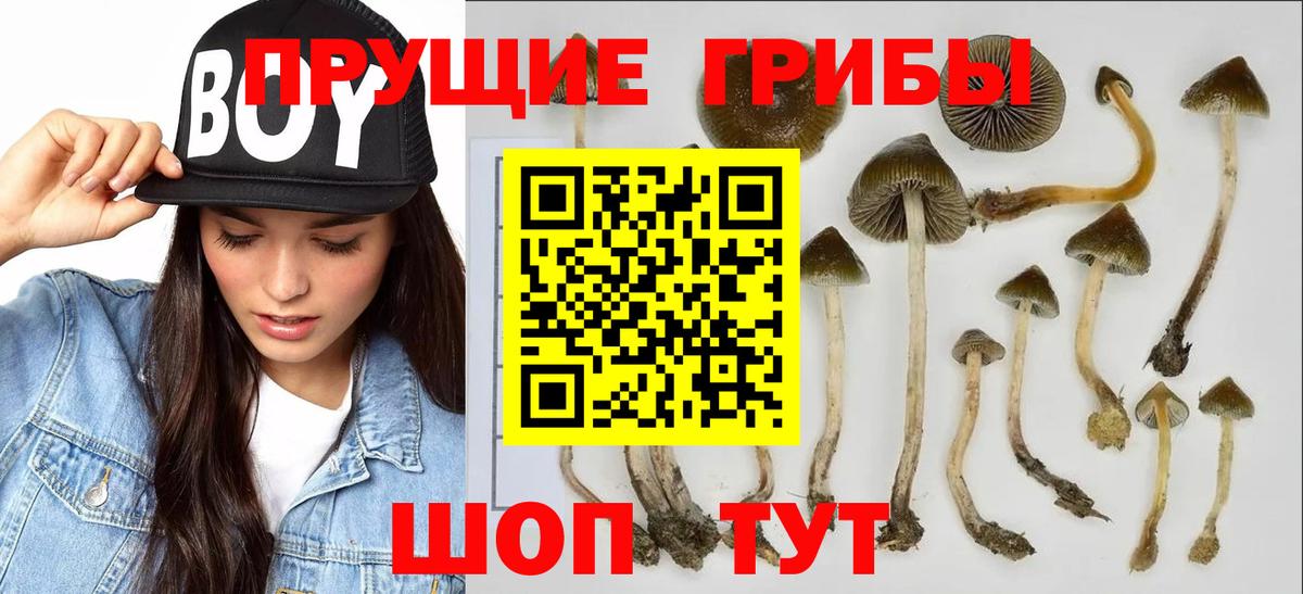 Псилоцибиновые грибы прущие грибы  Галлюциногенные грибы мухоморы  Вход с VPN  Вязьма 